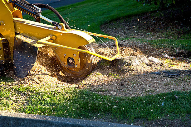 Artificial Turf Installation in Union City, OK